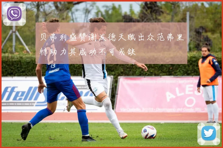 贝弗利盛赞谢泼德天赋出众范弗里特助力其成功不可或缺