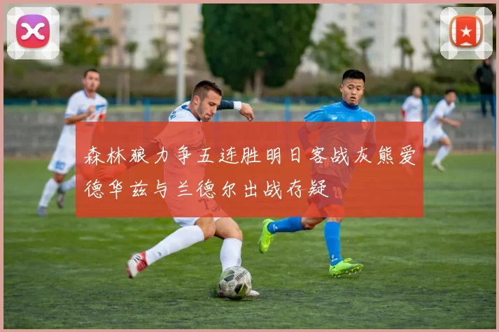 森林狼力争五连胜明日客战灰熊爱德华兹与兰德尔出战存疑