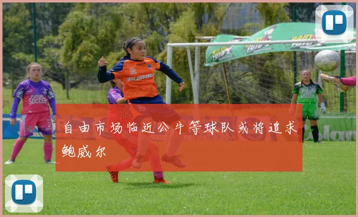自由市场临近公牛等球队或将追求鲍威尔