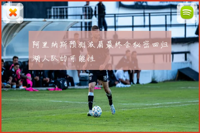 阿里纳斯预测浓眉最终会秘密回归湖人队的可能性