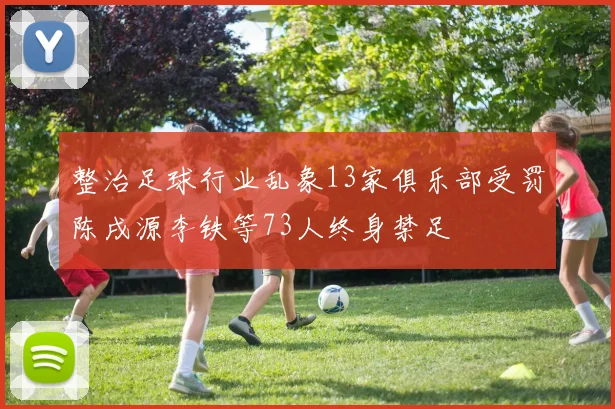 整治足球行业乱象13家俱乐部受罚陈戌源李铁等73人终身禁足