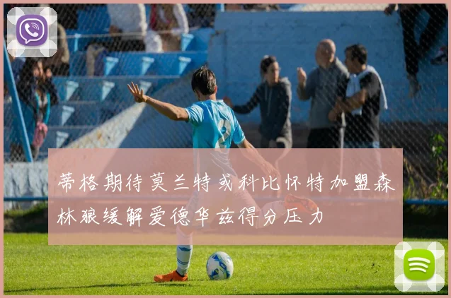 蒂格期待莫兰特或科比怀特加盟森林狼缓解爱德华兹得分压力